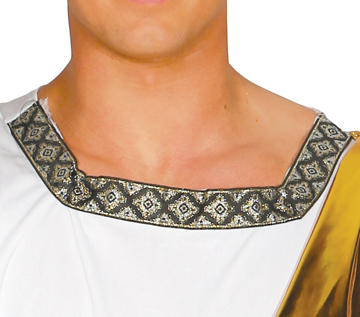 Cäsar Kostüm für Herren - Toga