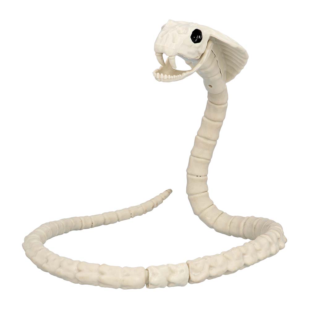 Realistic snake skeleton decoration made of polypropylene, measuring 102 x 10 cm, ideal for Halloween dungeon displays and spooky party decor.