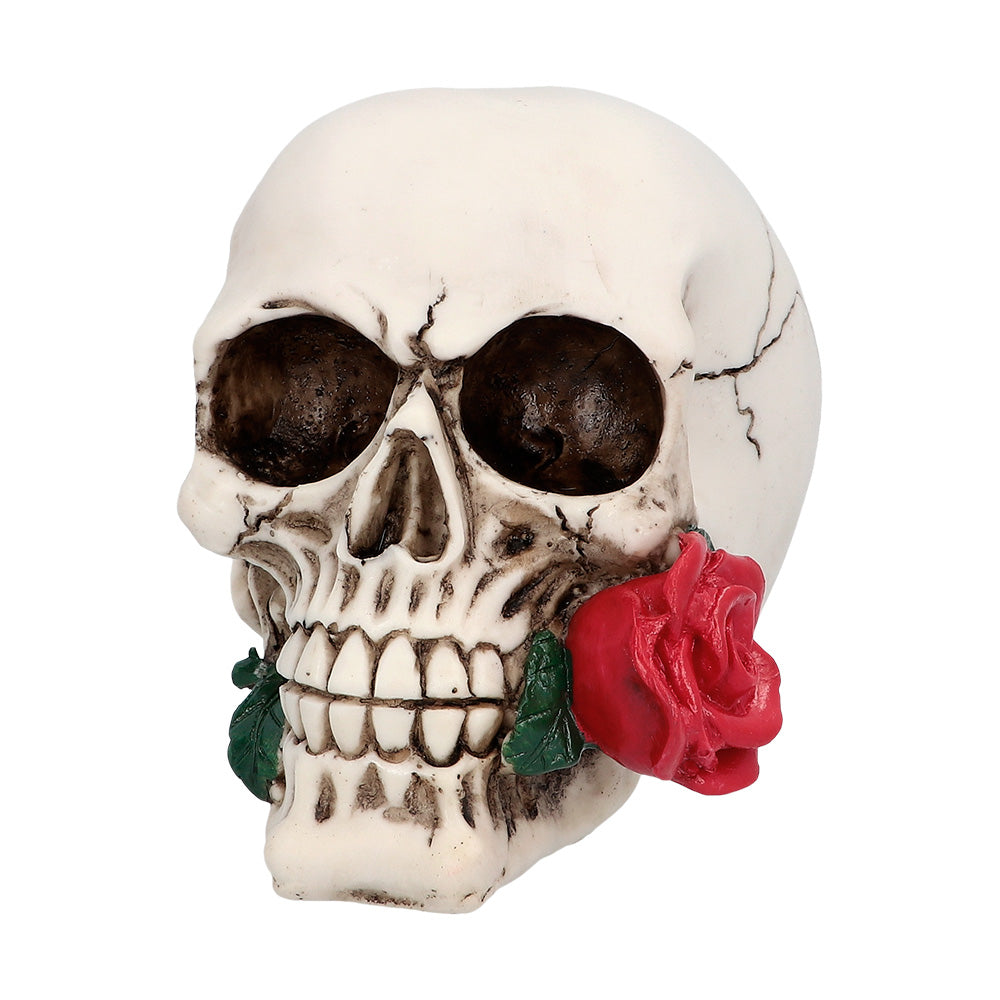 Casanova skull figurine made of 100% polystone, detailed Halloween skeleton decoration for home or dungeon, measuring approximately 10 x 10.5 x 13 cm.
