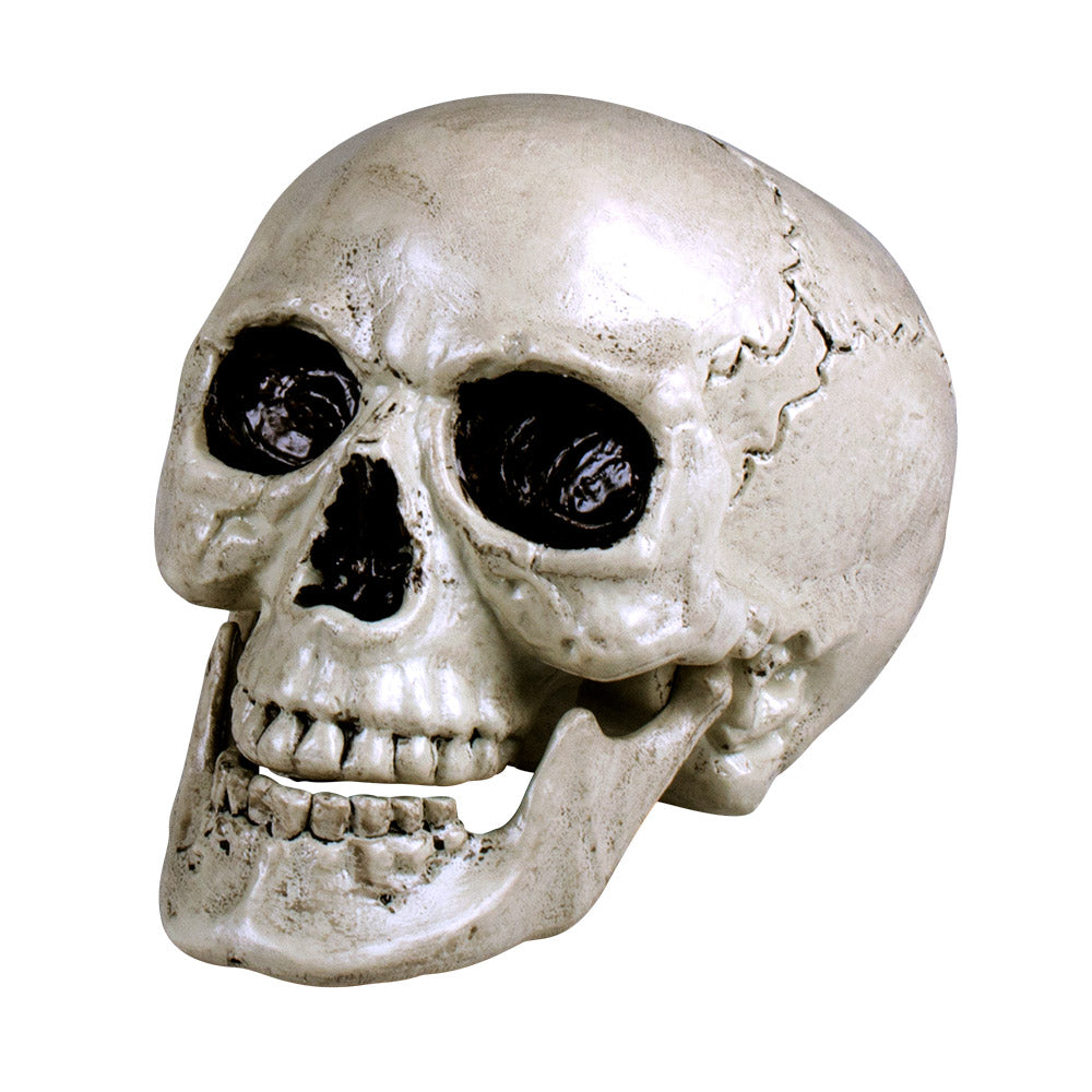 White Maxilla skull with movable jaw, realistic Halloween decoration for pirates, skeletons, and dungeon themes, made of polyethylene, 17 x 17 x 24 cm.