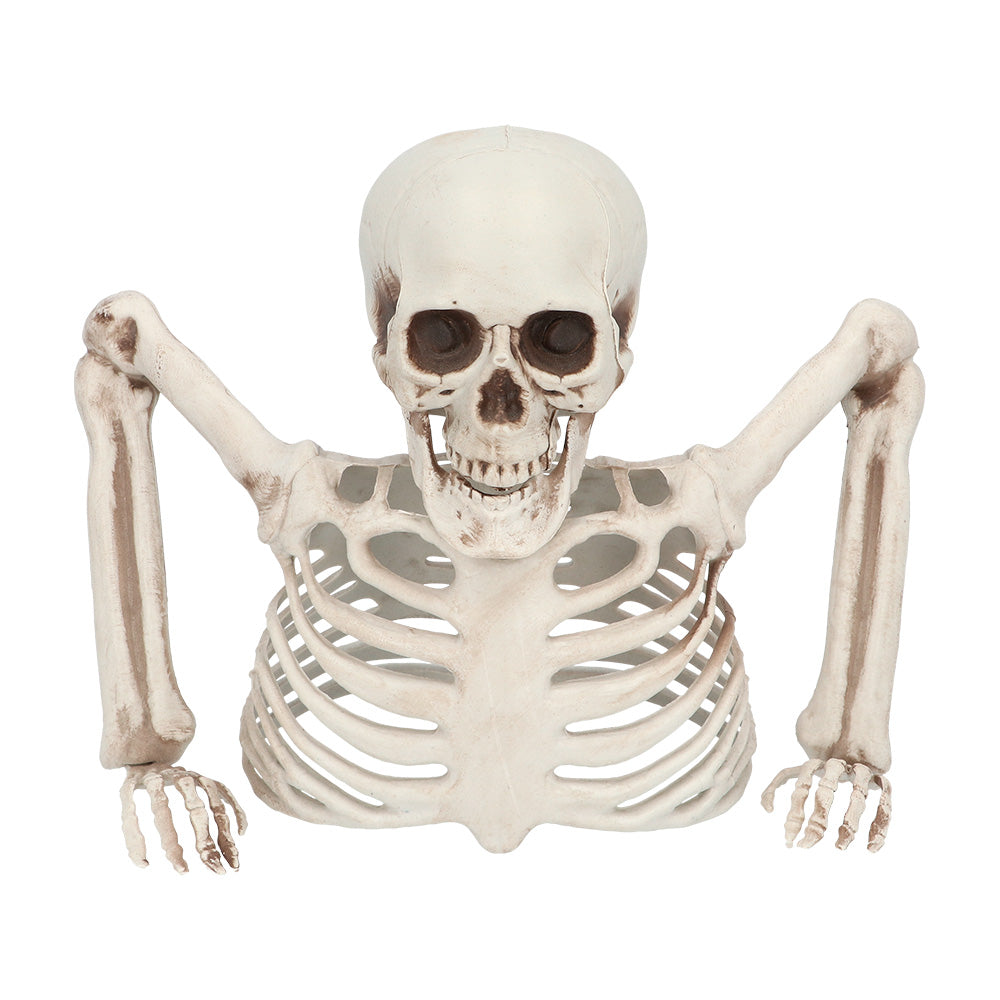 Squelette Groundbreaker 20 cm – Décoration Halloween