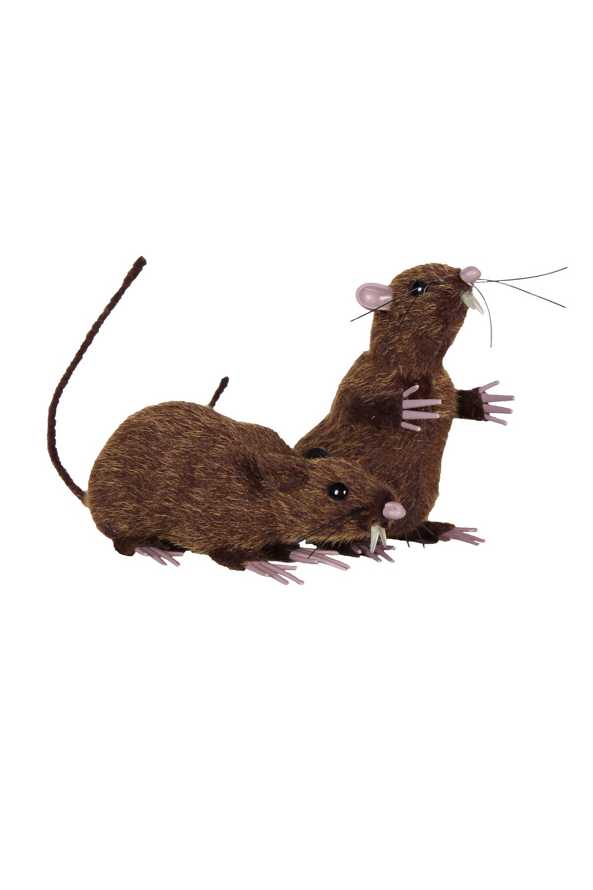Set de 2 Rats Bruns Décoration – Halloween et Maison Hantée