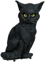 Chat Noir Lumière et Son 32 cm – Décoration Halloween