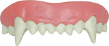 Dentier Vampire Haute Qualité – Accessoire Halloween