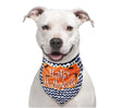 Halloween pet bandana made of polyester in black and orange, perfect accessory for cats and dogs.