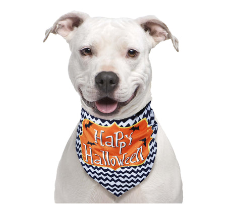 Halloween pet bandana made of polyester in black and orange, perfect accessory for cats and dogs.