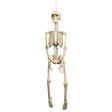 Large hanging skeleton Halloween decoration made of polyethylene, 92 cm tall, ideal for pirate, dungeon, or haunted house themes.