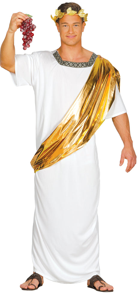 Déguisement Sénateur Romain Homme - Toge