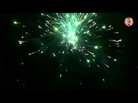 Compact feux d'artifice Le Tigre – 25 coups éclatants multicolores pour soirées