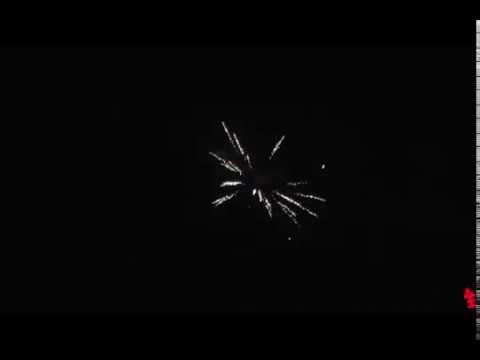 Compact feu d'artifice Le Tigre – 19 coups de pivoines colorées, final doré