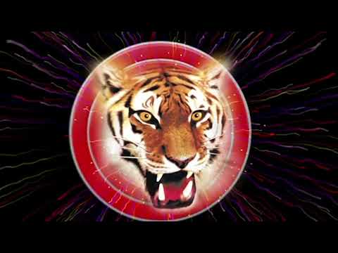 Feu d'artifice compact Le Tigre – 16 coups – mosaïques bleu profond pour fêtes