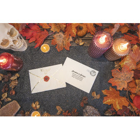 Serviettes anniversaire Apprenti Sorcier –  – lot de 16 – 30x20 cm